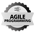 Agile programming
