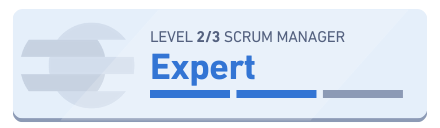 Scrum Manager Expert